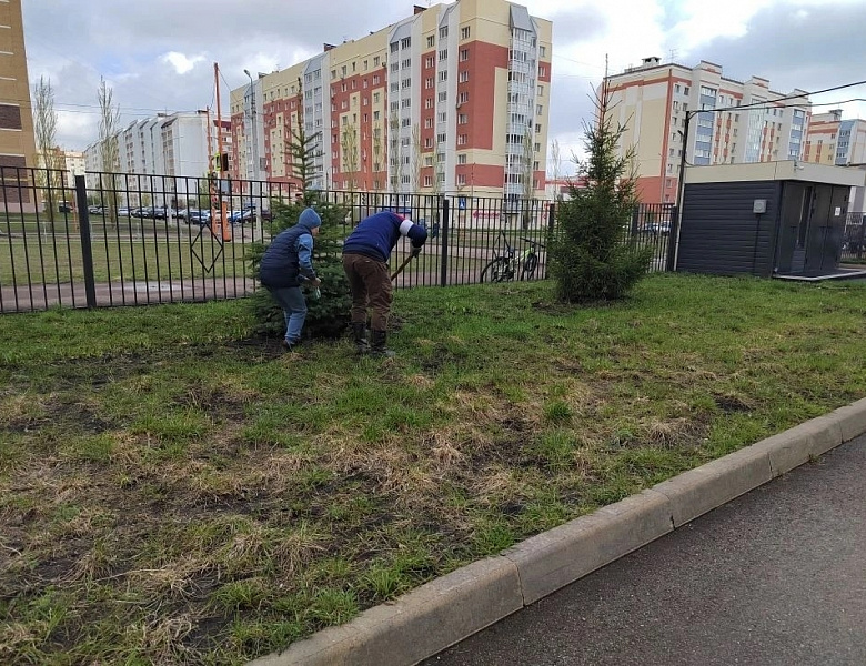 БЛАГОУСТРОЙСТВО ШКОЛЬНОЙ ТЕРРИТОРИИ