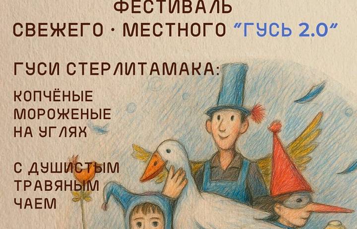 В Стерлитамаке пройдёт фестиваль «Гусь 2.0»