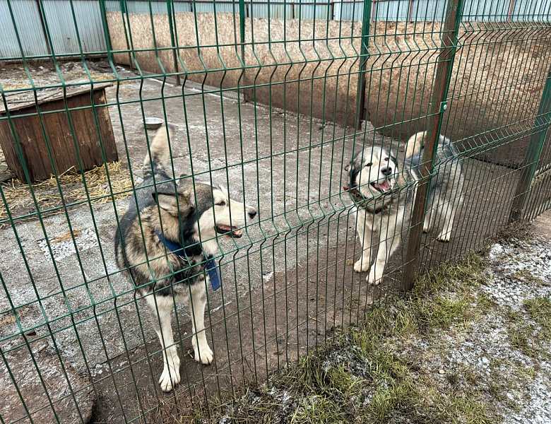 ДЕНЬ ДОБРОВОЛЬЦА